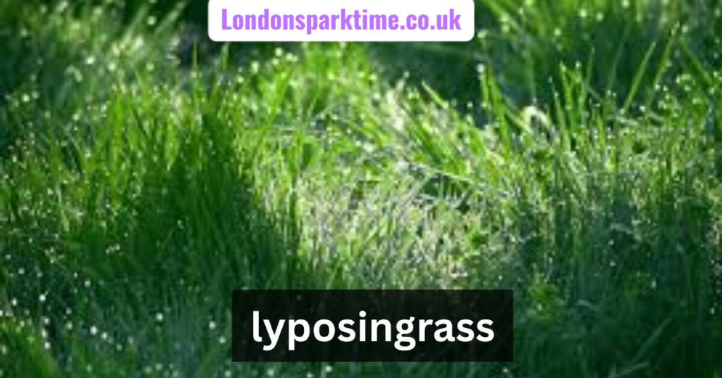 lyposingrass